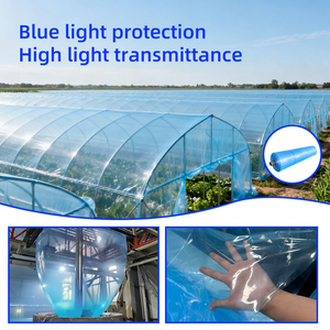 Rõ ràng màu xanh nhà kính polytunnel bao gồm phim tấm truyền qua cao màu xanh trong suốt nhà kính phim CuộN - Product Image 2