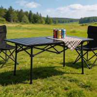Table de camping pliable multi-tailles avec plateau en acier carbone pour repas et rassemblements en plein air