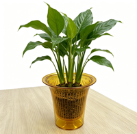 Maceta Moderna Transparente Color Ámbar con Autorriego, Maceta Inteligente con Absorción Automática de Agua para Plantas de Interior