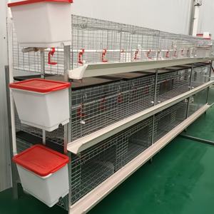 Cage à poulets de chair galvanisée épaissie, équipement d'élevage de poussins, cage à poussins à 4 niveaux à vendre - Product Image 1