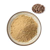 Poudre de racine de Bupleurum (Thorowax) chinoise pour entrepôt