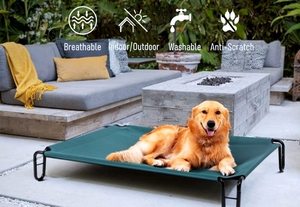 CanboPet-Cama Elevada de Lujo para Perro Grande, Cama Plegable de Acampada PARA EL Verano - Product Image 6