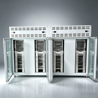Ultra Lage Temperatuur Vierdeurs Tray Blast Freezer -70 ℃   Klantspecifieke snelvriezer voor het invriezen van fruitpuree voor werkplaatsen