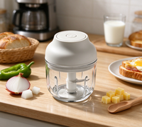 Hachoir Électrique Portable USB OEM 250ml en Acier Inoxydable, Mini Broyeur de Viande et Légumes Rechargeable pour Usage Domestique