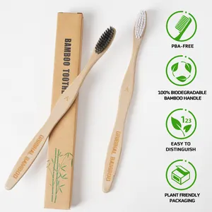 Hot Selling Groothandel Biologisch Afbreekbare Organische Houtskool Nano Bamboe Tandenborstel Voor Volwassenen Reizen Met Ontwerp Logo Stand En Set