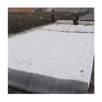 Feuille composite auto-cicatrisante en bentonite haute densité, imperméable, pour le traitement des eaux usées des décharges, anti-infiltration, drainage, jardin
