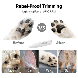 Tondeuse à pattes pour chien à faible bruit avec lumière LED, sans fil, rechargeable, tondeuse électrique pour poils des pattes d'animaux, tondeuse de toilettage pour les pattes des chiens - Product Image 4