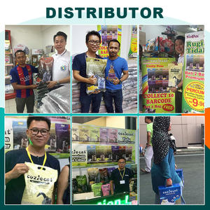 10L 5L <span class=keywords><strong>ทราย</strong></span>แมวเบนโทไนท์ปราศจากฝุ่นมีล็อคกลิ่น<span class=keywords><strong>ทราย</strong></span>แมวตามธรรมชาติ - Product Image 5