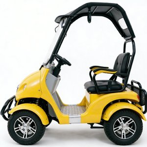 Scooter électrique 4 roues 60V800W pour adultes, <span class=keywords><strong>mini</strong></span> voiturette de club, loisirs, 2 places, chariot de golf - Product Image 3