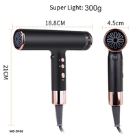 2023 Sèche-cheveux BLDC Moteur 110000rpm Brushless Haute Vitesse Sèche-cheveux Ensemble Salon Professionnel