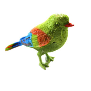 Jouet d'oiseau à commande vocale en plastique, éducatif pour enfants de 2 à 4 ans, jouet d'exploration de la nature, 6.5x9cm - Product Image 1