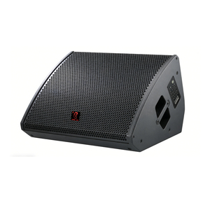 Monitor da Palco Coassiale da 10 Pollici, Altoparlante Professionale per Teatri, Stadi Sportivi, Monitoraggio Palco e Driver Coassiale per Auditorium - Product Image 2