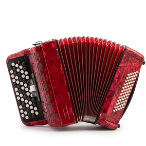 Accordéon à boutons professionnel 60 basses Bayan 3 registres, vente en gros, direct usine, instrument de musique OEM - Product Image 5
