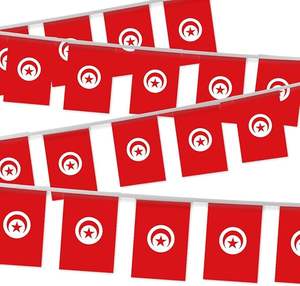 سعر الجملة مجموعة علم تونس تيشيرت يلوحون باليد العلم سوار وسادة راية وطنية أعلام سلسلة للترويج - Product Image 4