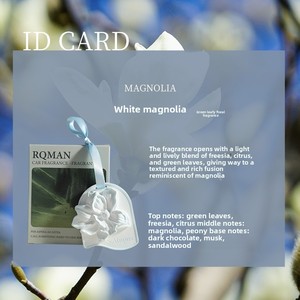 OEM/ODM a granel Etiqueta Privada incienso colgante dormitorio armario yeso aromaterapia flor difusor de alto valor ambientadores de coche - Product Image 6