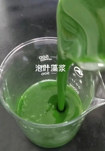 Extracto de algas marinas Nutrientes Fertilizante para el crecimiento de plantas Alimentación <span class=keywords><strong>foliar</strong></span> de oliva para verduras - Product Image 2