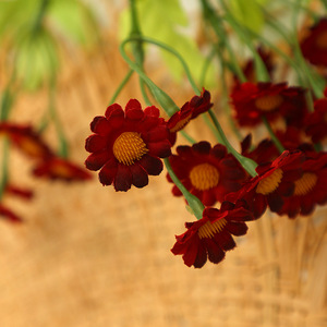 Flores Artificiales de Margarita Xinchengzhi, Decoraciones de Plástico para Bodas y Hogar - Product Image 1