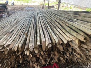 BAMBOU FRAIS DEMI TUBE BAMBOU SPLIT POLE BÂTONS DE BAMBOU AVEC PRIX BON MARCHÉ DE BLUE LOTUS FARM VIETNAM - Product Image 5