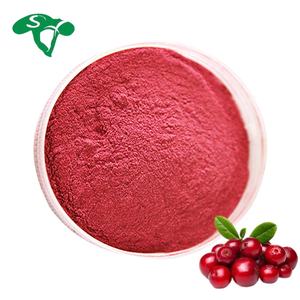 산신 천연 순수 월귤 나무 과일 추출물 25% 프로시안딘 월귤 추출물 분말 - Product Image 1