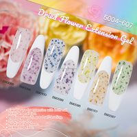 DZ NAIL Gel d'extension pour ongles à fleurs séchées, SANS HEMA, à retirer par trempage, compatible UV LED, OEM ODM, Gel de conception française, Écologique, Gel longue tenue