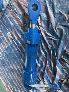 Cylindre hydraulique <span class=keywords><strong>à</strong></span> double effet personnalisé, <span class=keywords><strong>mini</strong></span>-<span class=keywords><strong>pelle</strong></span>, tracteur <span class=keywords><strong>à</strong></span> benne basculante, vérins hydrauliques <span class=keywords><strong>pour</strong></span> camion - Product Image 4