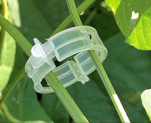 Clip de Support de Plante en Plastique Réutilisable Jardin Transparent Rond 25mm Clip Tomate Treillis Greffage Clips - Product Image 1