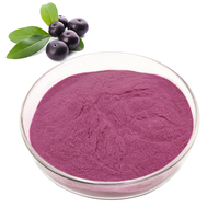 100% poudre d'acai naturelle pure extrait de plante biologique Soluble dans l'eau poudre lyophilisée poudre de fruits de baies d'açai