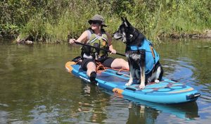 พี.เอฟ. กระดานยืนพายแบบเป่าลม DOG BOARD รุ่น High-Support Wide รับน้ำหนักได้ 430 ปอนด์ สำหรับเล่นเซิร์ฟ BF02 ดีไซน์รองรับน้ำหนักสูง - Product Image 3