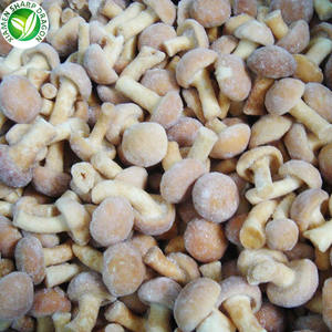 יצוא קפוא nameko פטריות עבור קונים - Product Image 4