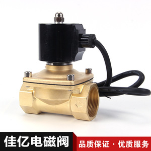 Vente directe d'usine de vannes solénoïdes de fontaine en laiton modèle 2W-500-50 - Product Image 4