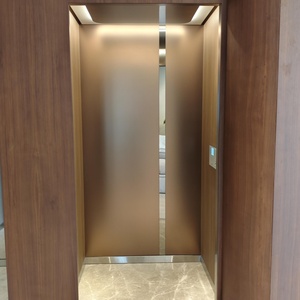 Elevator <b>2</b>-4Floors Small Fashion Design Residential <b>Passenger</b> Home Lift Villa Elevator Price - Product Image 3
