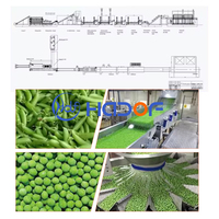 Automatische Productielijn Van Bevroren Groenten Fruit En Groente Iqf Bevroren Machine/Voedsel Bevriezing Productielijn