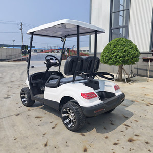 Carrito de Golf Eléctrico de Dos Plazas Personalizable 2026 con Motor de 3500W-7500W y Batería de Litio, Personaliza Cada Detalle para tu Viaje - Product Image 5