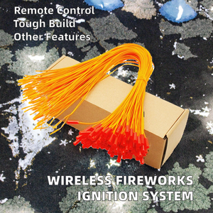 Vente en gros Allumeur électrique filaire pour feux d'artifice Télécommande sans fil Fuze Wire Firework Allumeur électronique Matière plastique - Product Image 2