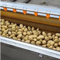Rolbodemlengte 1000mm 500KG/H Cassaveverwerkingsmachines Fruitborstelwasmachine Borstelrol Aardappel schilmachine