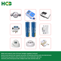 HCB ER14505 avec broches à souder AA 3.6V batterie au lithium primaire pour capteurs d'alarmes de fumée LoRa IoT suivi GPS