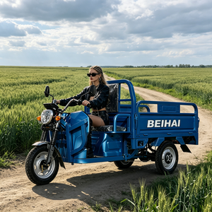 รถสามล้อซูเปอร์คาร์ BEIHAI ปี 2026 ราคาประหยัด มินิสกู๊ตเตอร์ 60V 2000W รถสามล้อโดยสารสำหรับผู้ใหญ่ - Product Image 4