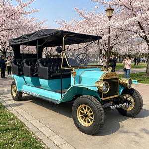 Véhicule de tourisme électrique vintage multi-places sur mesure pour service de club, à faible vitesse - Product Image 1