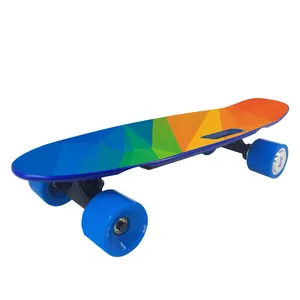 Tùy Chỉnh Cá Nhỏ Tấm Cruiser Maple Skate Board Điều Khiển Từ Xa Ổ Đĩa Trực Tiếp Tăng Áp Skateboard Điện