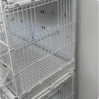 Accessoires pour cage à oiseaux, produits en plastique pour animaux de compagnie, accessoires pour oiseaux volants, perroquets, canaris, perruches, jouet durable et sûr, perchoir