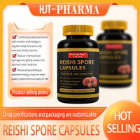 Complément Herbal Végétarien Pur et Naturel Personnalisé OEM : Capsules de Poudre de Spores de Ganoderma Lucidum pour l'Immunité des Adultes