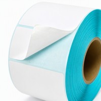 Rouleau d'étiquettes thermiques 80x40mm, autocollant thermique direct vierge pour codes-barres, idéal pour les étiquettes de prix de détail et la gestion des stocks