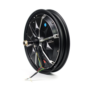 Moteur sans balais pour vélo électrique, avec frein à tambour, moteur bldc pour moto, 350w, 48V, 60V, <span class=keywords><strong>16</strong></span> <span class=keywords><strong>pouces</strong></span>, 1 pièce - Product Image 6
