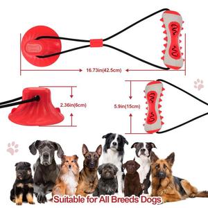 Juguete masticable de goma novedoso para limpieza dental de perros, resistente a mordeduras, para limpiar los dientes y los huesos, con forma de hueso y cepillo de dientes, para uso transfronterizo. - Product Image 4