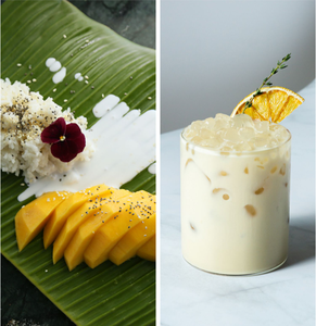 Distributore Delthin 1L crema al cocco dolce 1L crema all'olio di cocco biologico al Latte di cocco crudo - Product Image 5