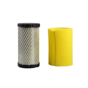 793569 Air Filter For Briggs Stratton