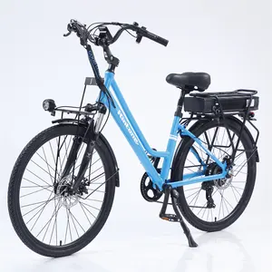 Hot Sales Elektro fahrrad Big Tire E-Bike gebrauchte Elektro fahrräder Elektro Mountainbike 1000w E Fahrrad 2023 Elektro fahrrad