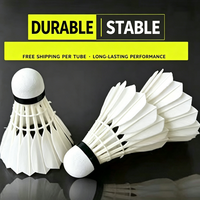 Volants de badminton professionnels légers en plumes de canard de classe B hybride, haute élasticité, pour l'entraînement sportif de niveau tournoi