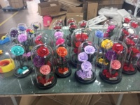 Rose éternelle naturelle préservée longue durée sous cloche en verre, vente en gros, cadeau fleur éternelle, promotion 2026