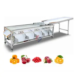 Citrus passion fruit washing and sorting machine vegetable factory